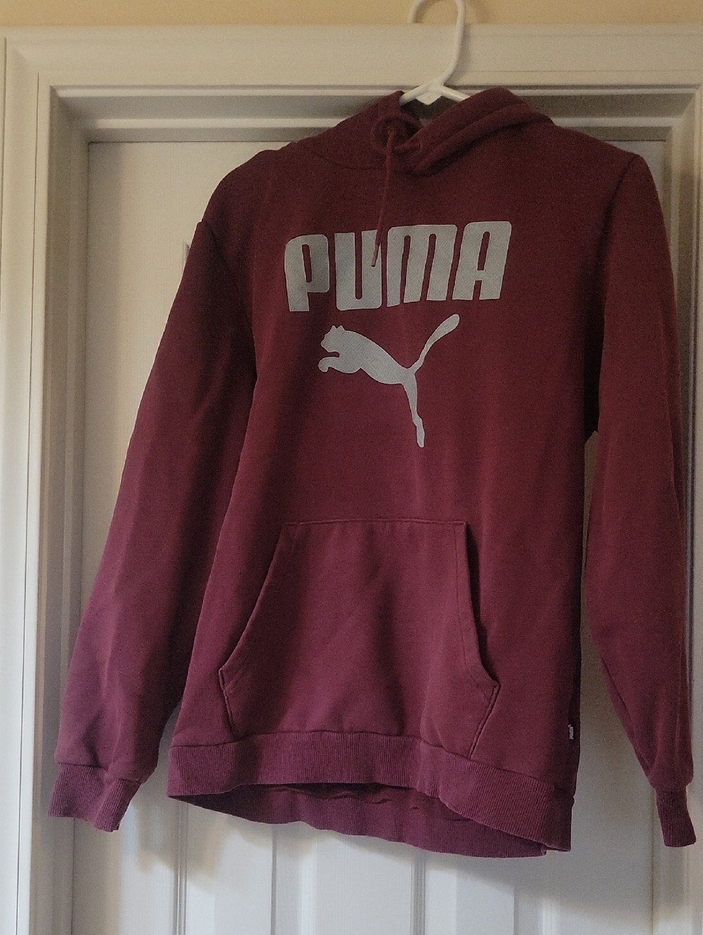 Puma Men's Maroon Hoodie with Silver Logo